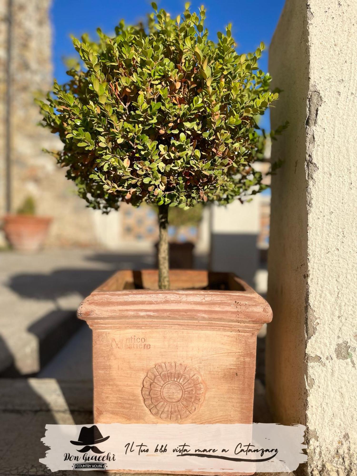 Don Giacchi Country House Catanzaro Exterior foto