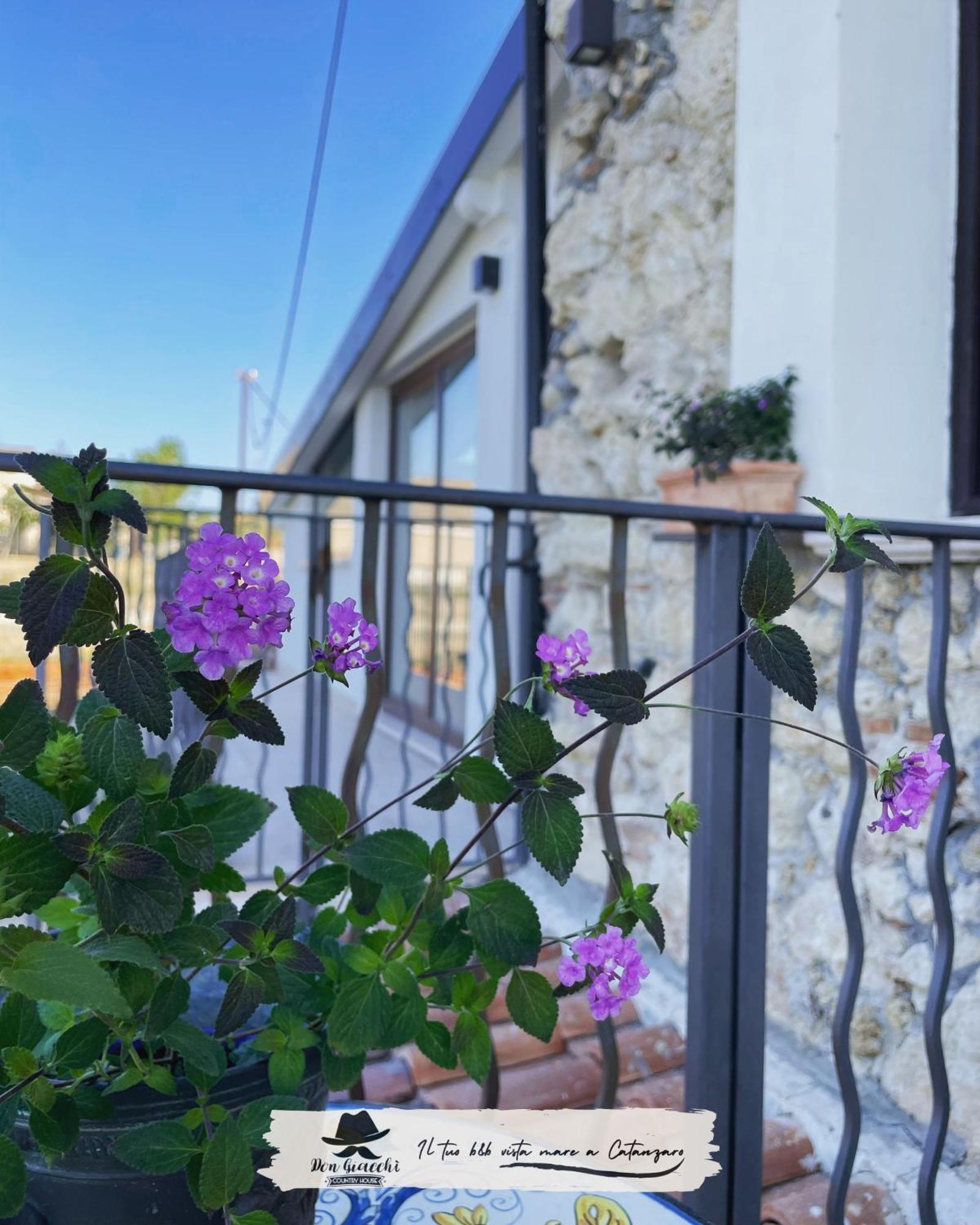 Don Giacchi Country House Catanzaro Exterior foto