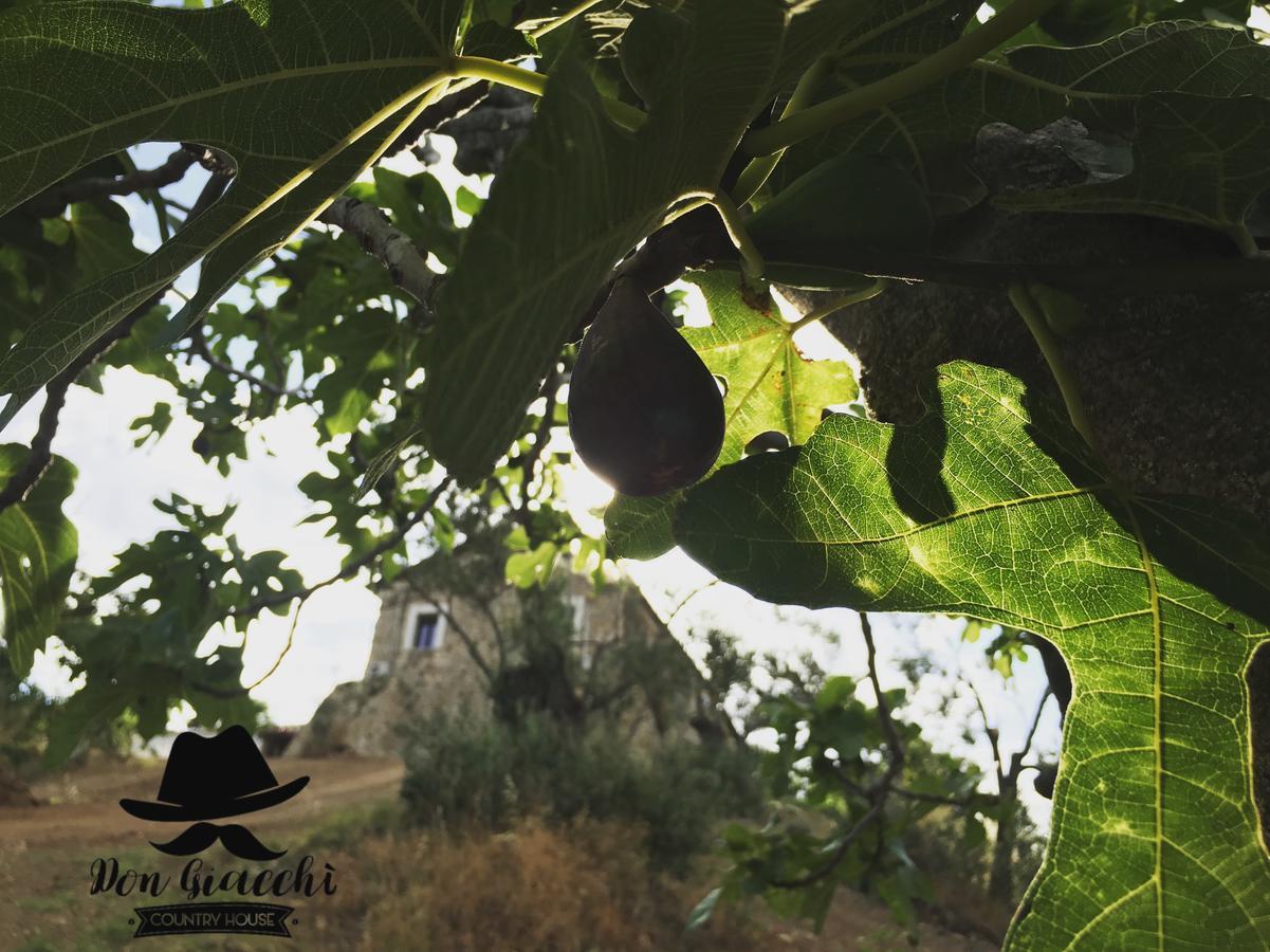 Don Giacchi Country House Catanzaro Exterior foto
